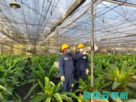 春耕季节电力护航大湾区农业消费