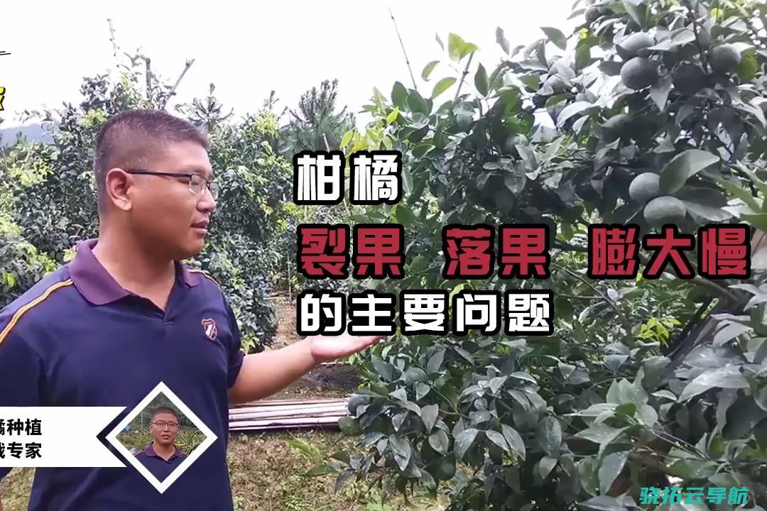 为何会惹起质疑 诬告搭救罪 退休干部投诉县委书记被起诉