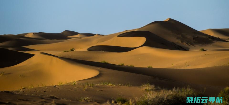 专访中国林科院荒漠化钻研所所长卢琦 咱们尽控制‘天然 沙漠