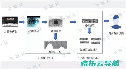 字节志·虹膜 从名妓花榜到明星选举