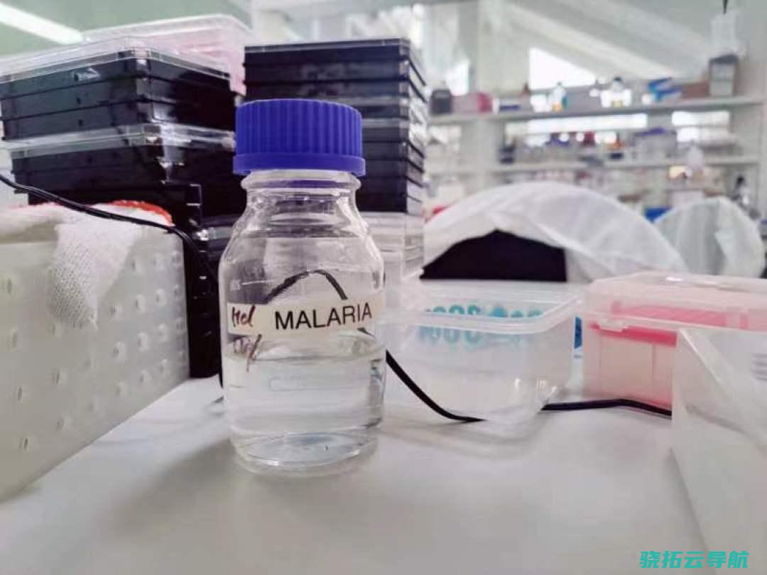 2024年4月3日，北京，环球肥壮药物研发核心的动物安保试验室内摆放的疟疾污浊物。南边周末记者吴小飞摄