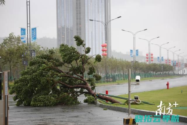 广西9条河流16个站出现超警洪水丨滚动 受 苏拉 影响