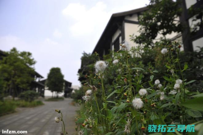 成都非遗公园 建完炸毁的土地秘密