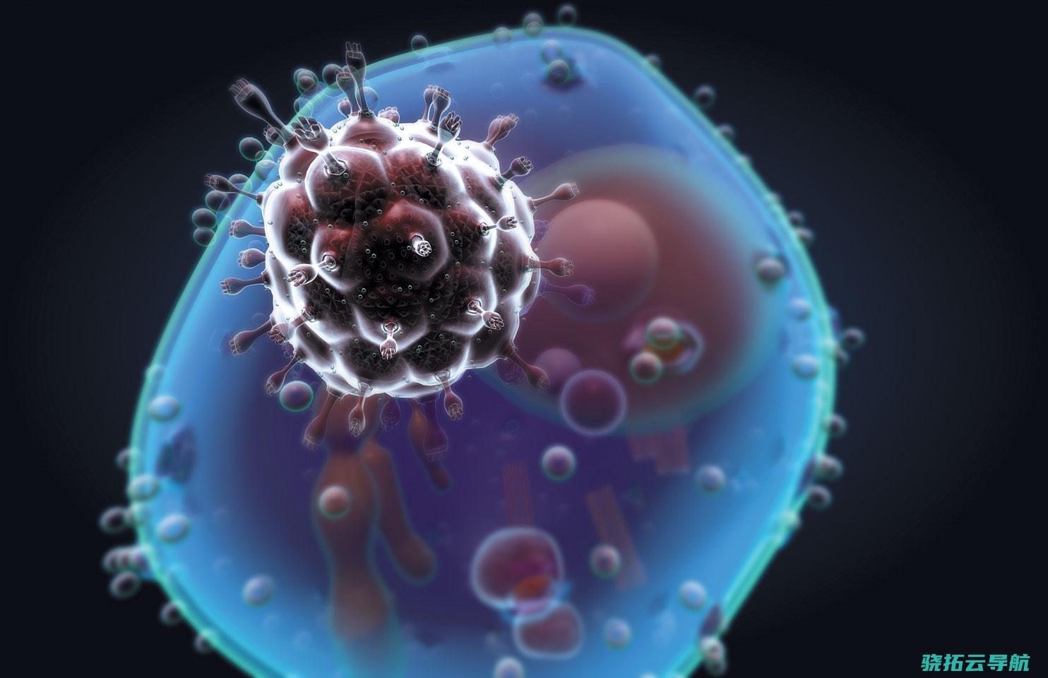 干细胞移植再次治愈艾滋病患者