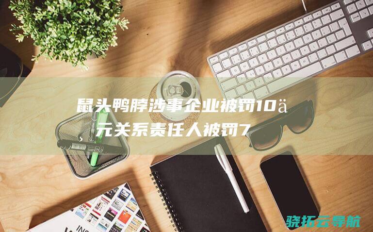 鼠头鸭脖 涉事企业被罚10万元 关系责任人被罚706万元