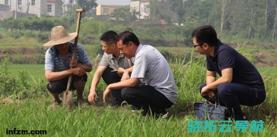 大数据 脚步丈量民情民心 湖北 科技高效发现疑问 大脚板 让监视更精准