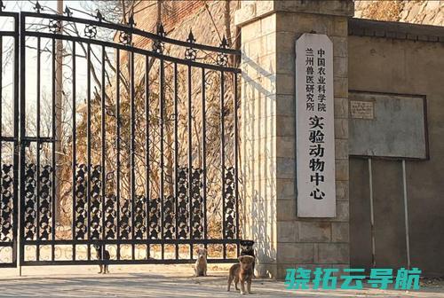 兰州布病事情8名责任人被解决 省级复核确认阳性6620人