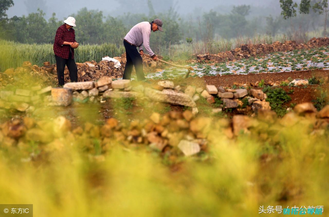 清明从节气到节日 唐宋时成中国首个黄金周 吞噬了寒食上巳