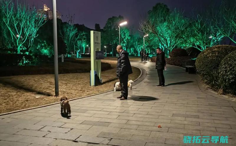 会出台规范养犬的全国性专门法规吗 丨开年十大猜⑩