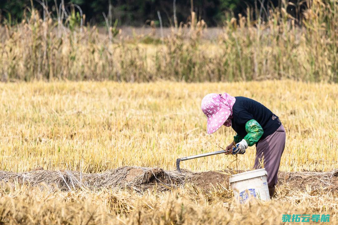 从完善法律开局 包全乡村女性土地权益 全国政协委员蒋胜男