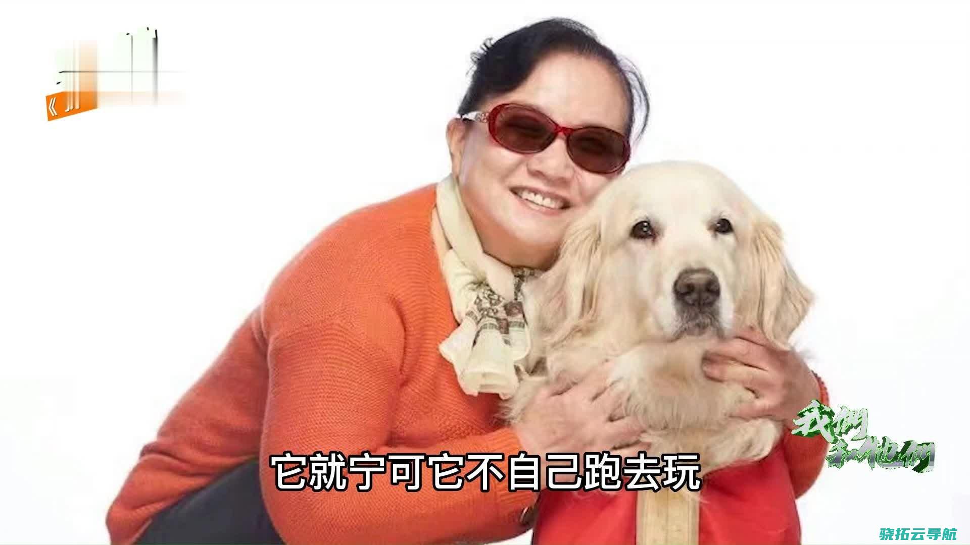 主人走后