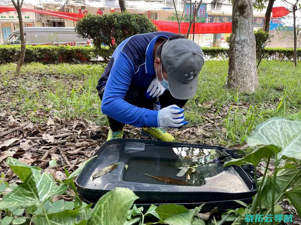 巷战闹哄哄 监测蚊子的人 登革热之前