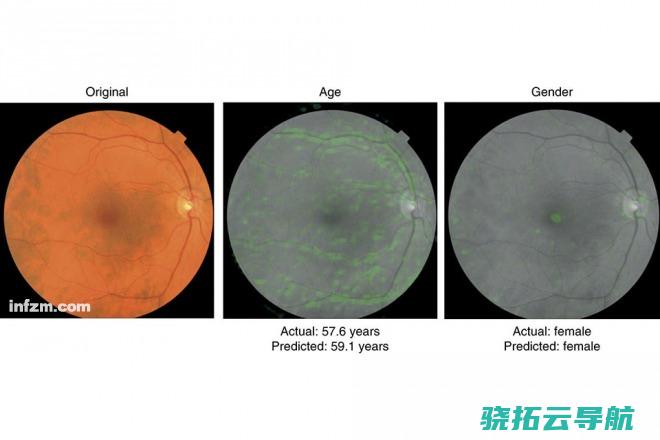 用AI关上心灵的窗户