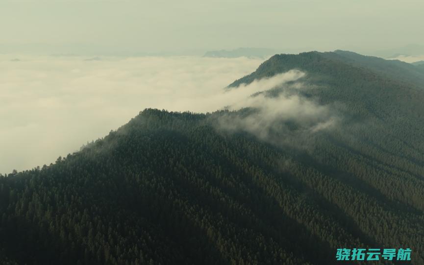 必有回响 密林深处 咱们的大山大河