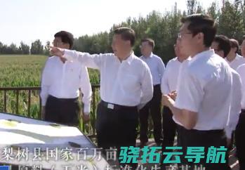 视频丨习近平