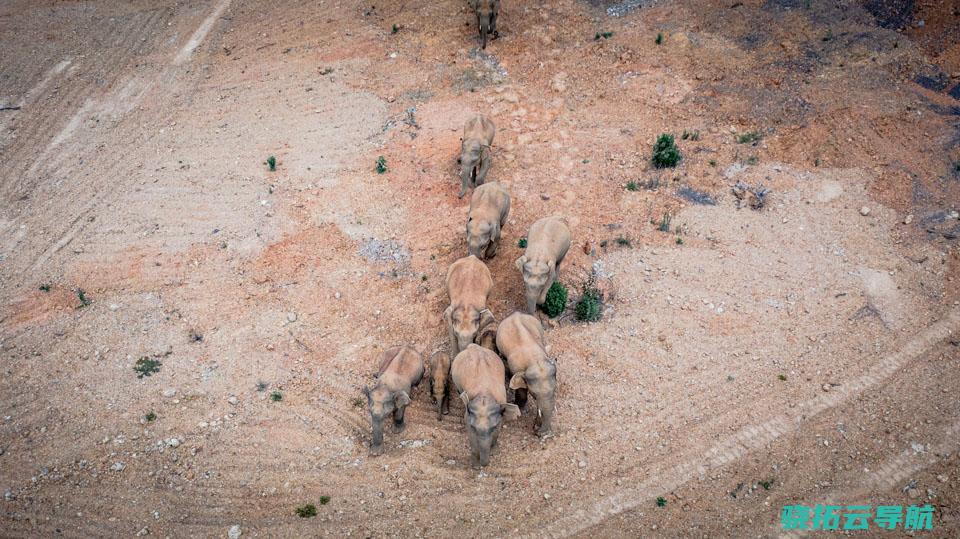 联结国生物多样性大会召开在即 哪些中国阅历被国内必需