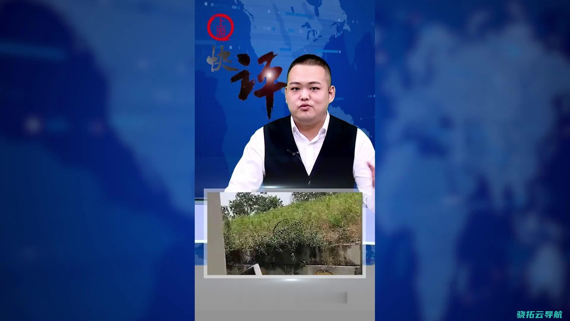 仔细看待