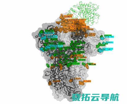 超20国采取出境限度措施曝光新冠病毒变异毒株奥