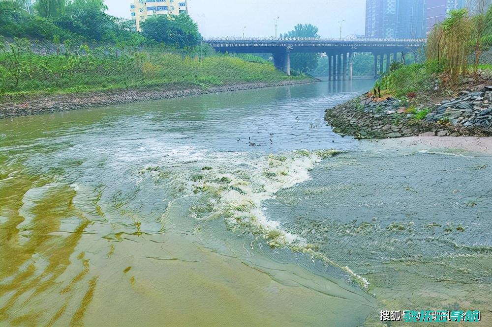 加大水污染的责与罚