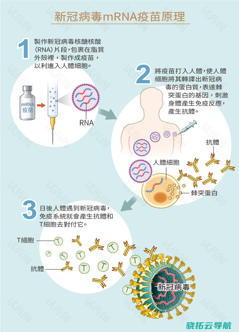 mRNA疫苗或者发生非预期的免疫反响