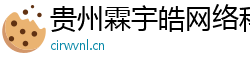 贵州霖宇皓网络科技工作室