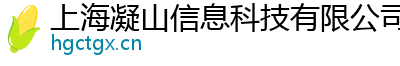 上海凝山信息科技有限公司