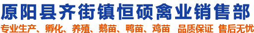 原阳县齐街镇恒硕禽业销售部