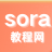 sora教程网