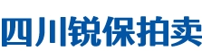 四川锐保拍卖有限公司