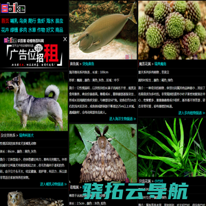 Sbike，识百客，动植物百科网，国内最专业的动物