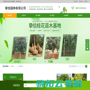 合肥挚信园林有限公司主要经营桂花树，广玉兰，红叶石楠等