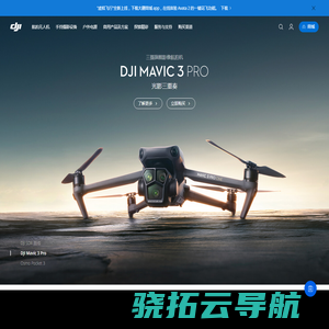 DJI