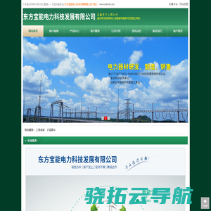 东方宝能电力科技发展有限公司