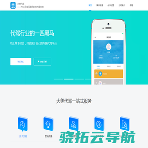 大美代驾软件