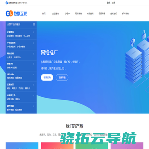 德州网络公司