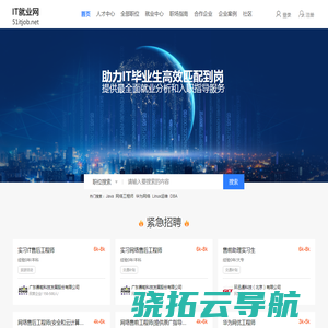 IT人才输送,IT人才定制,企业高端人才服务商
